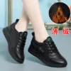 hy2381black-velvet